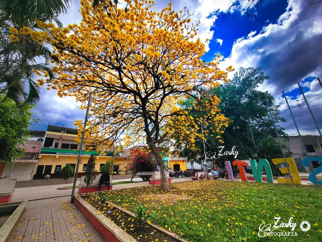 Fotografía del municipio de Teupasenti 3